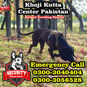 animal tracking service, khoji kutta