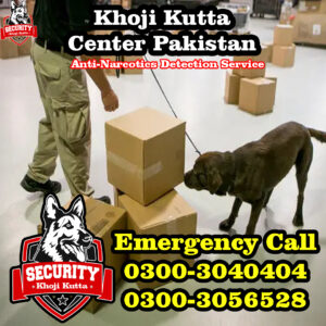 anti narcotics detection service, khoji kutta