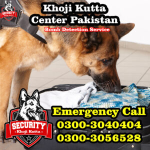 bomb detection service, khoji kutta