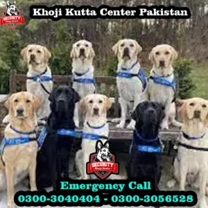 khoji kutta service 1