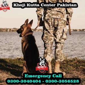 khoji kutta service 5