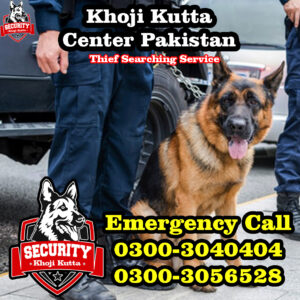 thief searching service, khoji kutta