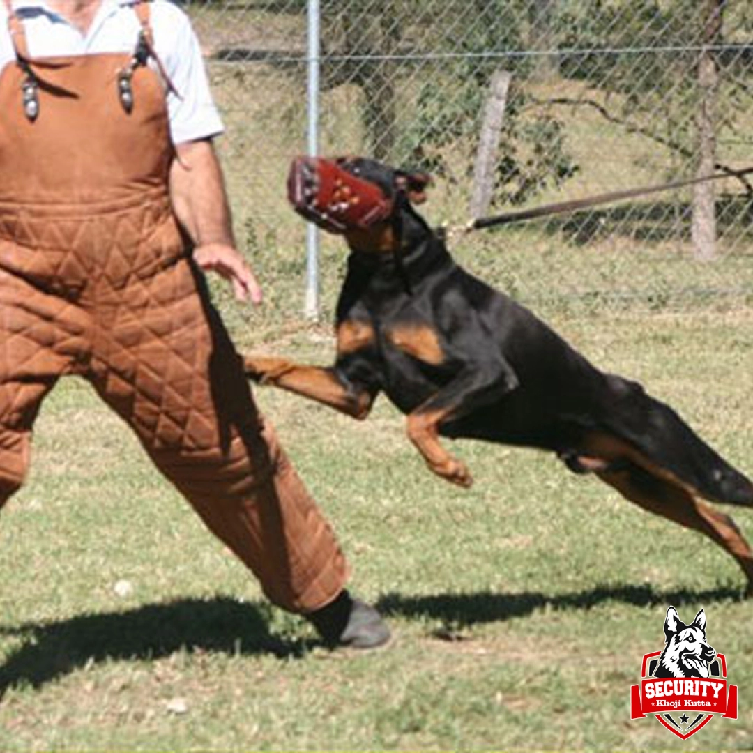 Training khoji kutta service 2